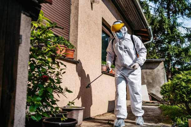 Best Pest Prevention Services  in Merrionette Park, IL