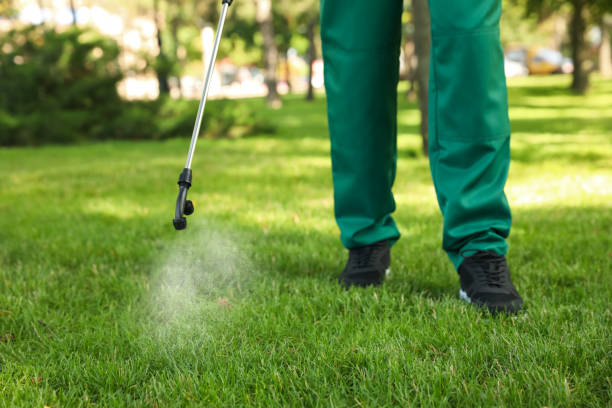 Best Pest Control Near Me  in Merrionette Park, IL