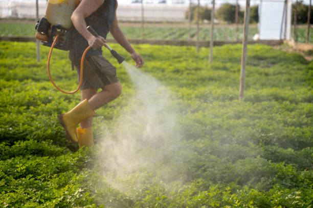 Best Pest Inspection Near Me  in Merrionette Park, IL
