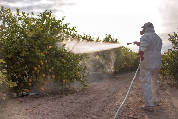Best Best Pest Control Companies  in Merrionette Park, IL