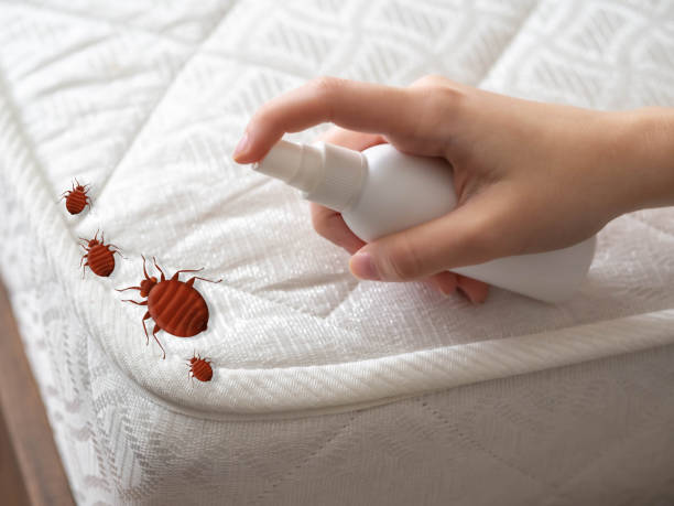 Best Pest Control Treatment  in Merrionette Park, IL