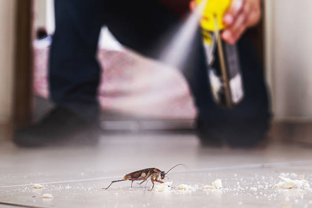 Best Best Pest Control Companies  in Merrionette Park, IL