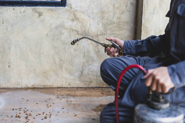 Best Wasp Removal Services  in Merrionette Park, IL