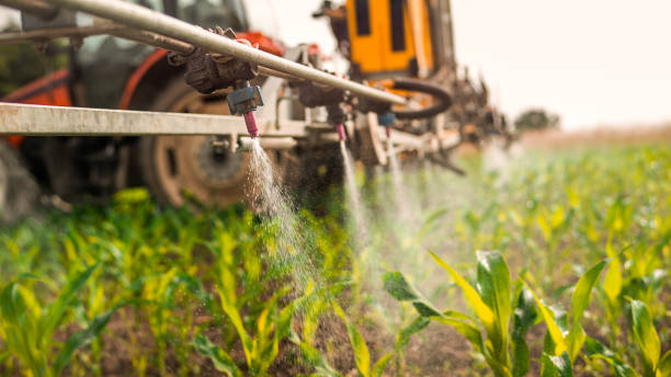 Best Commercial Pest Control Services  in Merrionette Park, IL